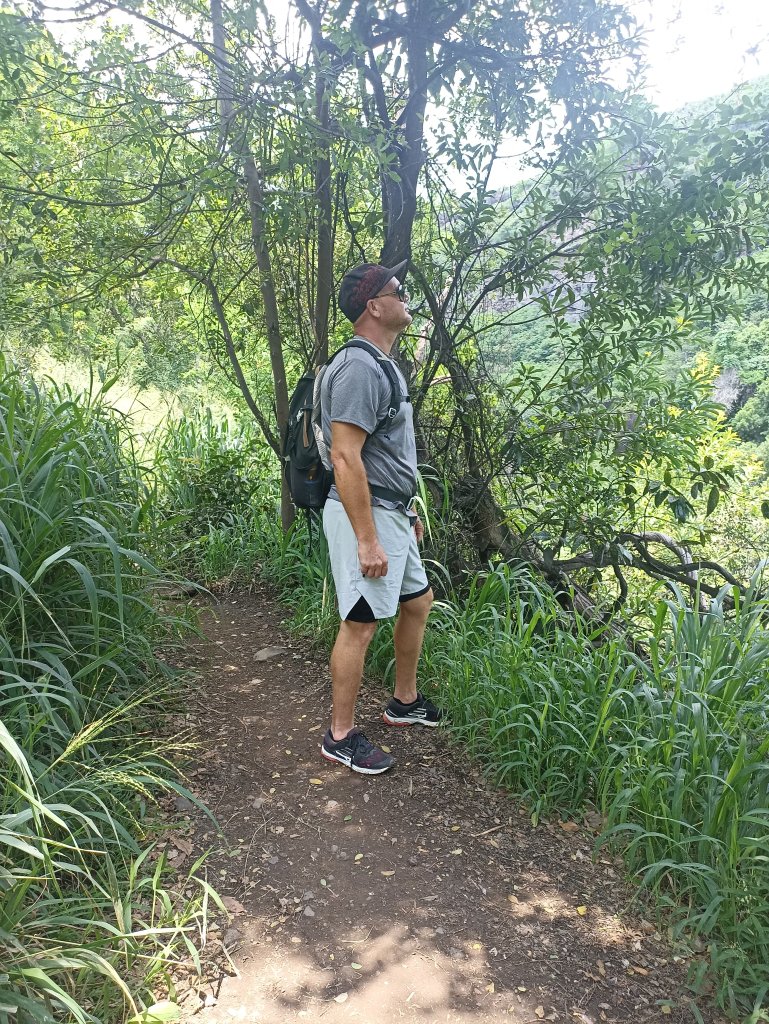 Cliquez sur la photo pour l'afficher en taille réelle