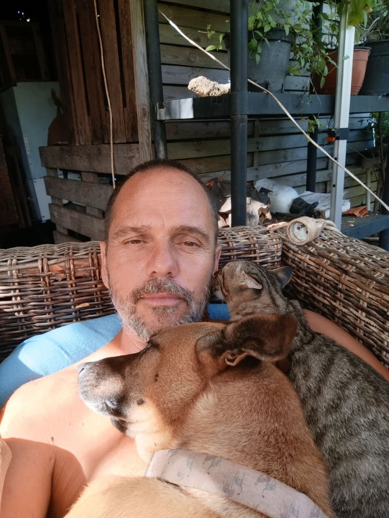 Cliquez sur la photo pour l'afficher en taille réelle