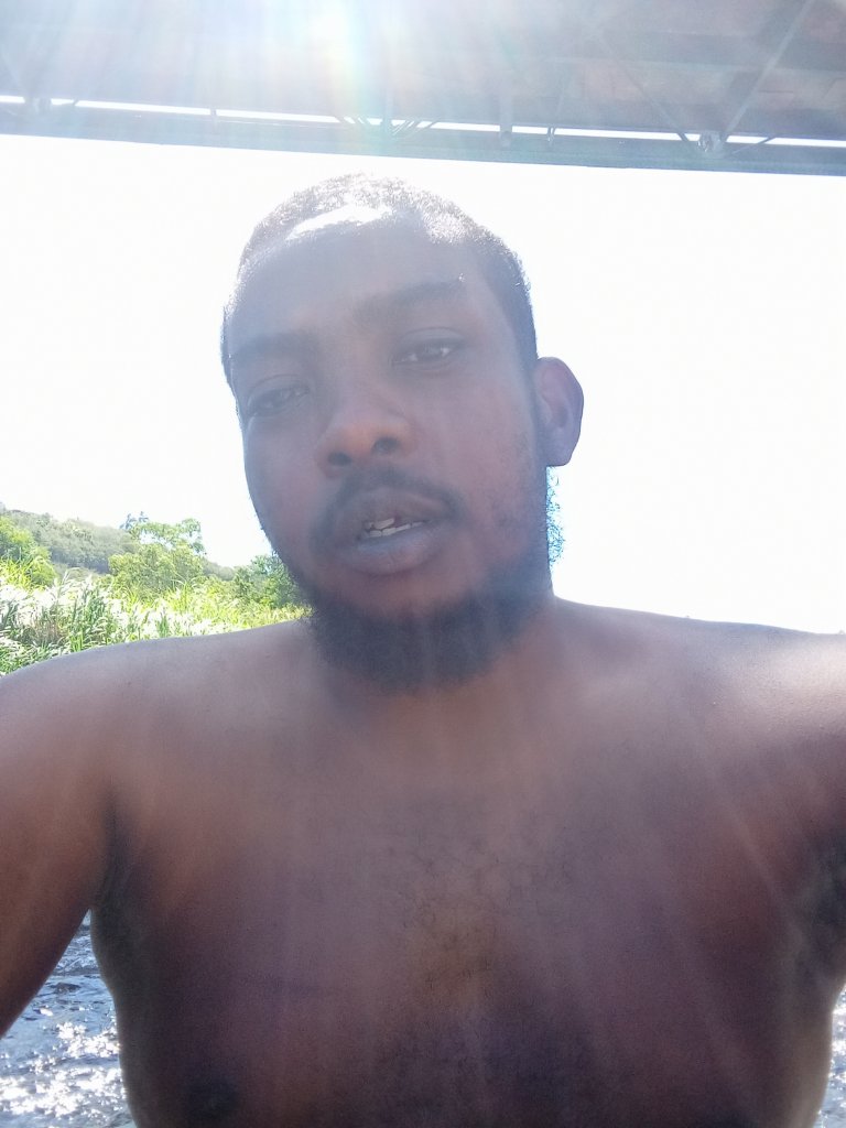 Cliquez sur la photo pour l'afficher en taille réelle