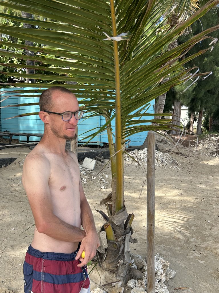 Cliquez sur la photo pour l'afficher en taille réelle