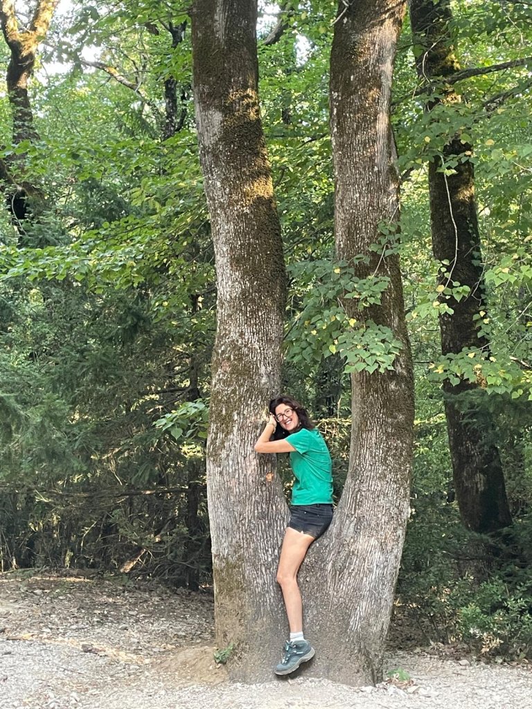 Cliquez sur la photo pour l'afficher en taille réelle