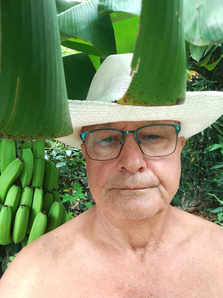 Cliquez sur la photo pour l'afficher en taille réelle