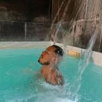 Photo taille réelle